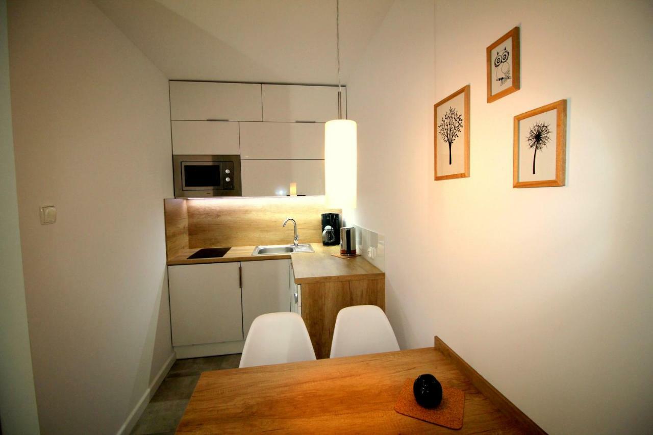 Podgorze Apartment