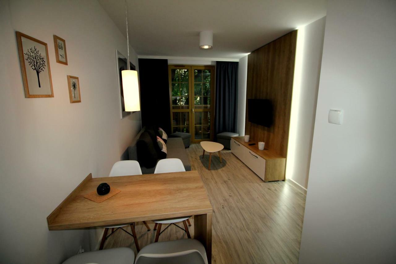 Apartment Podgorze
